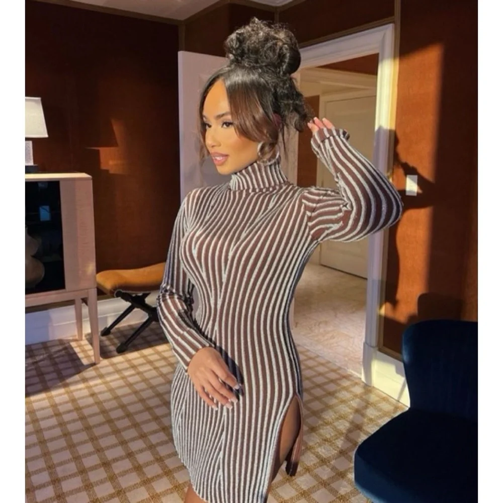 Hanifa Cici Knit Mini Dress (Sz S) Ribbed Long Sleeve Turtleneck Brown Silver - Picture 3 of 16